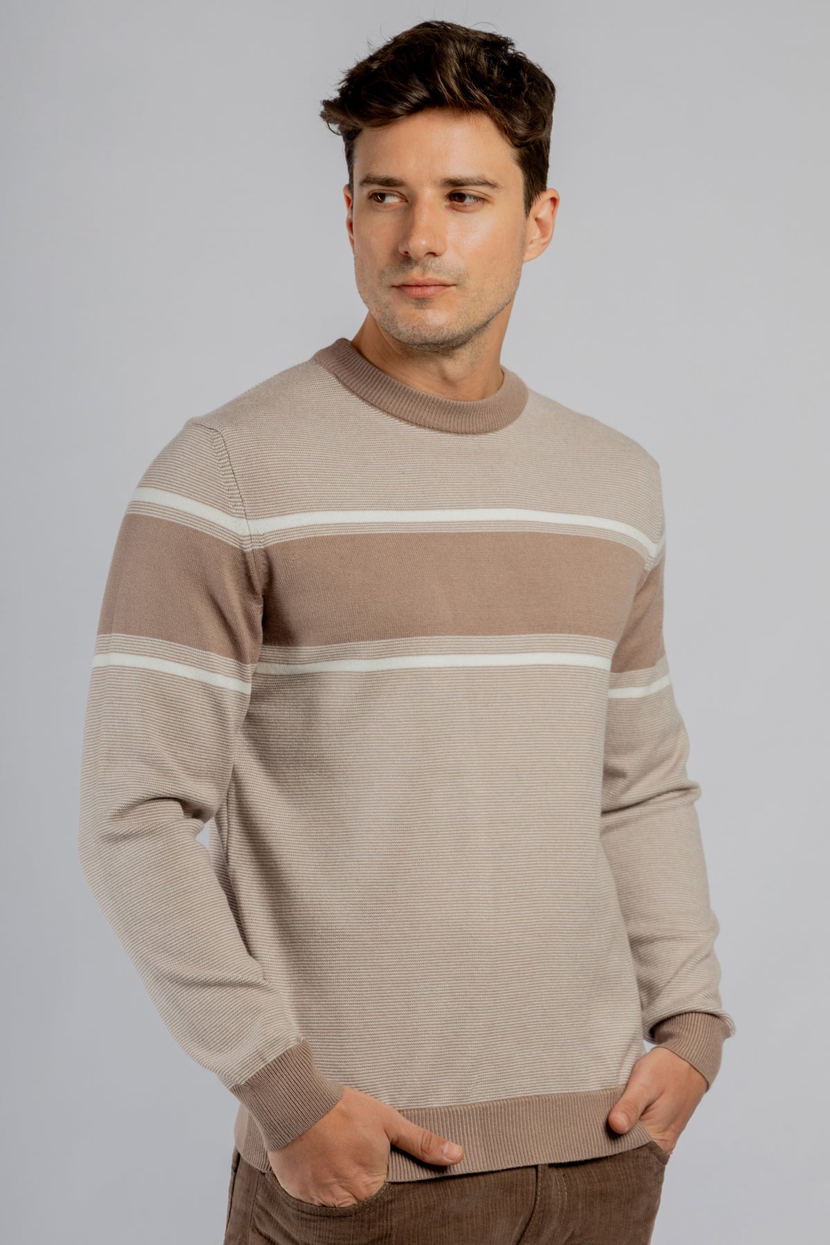 Beige striped crewneck pullover