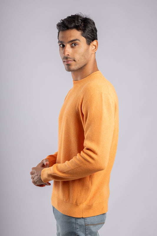 Orange Casual Knitted Pullover