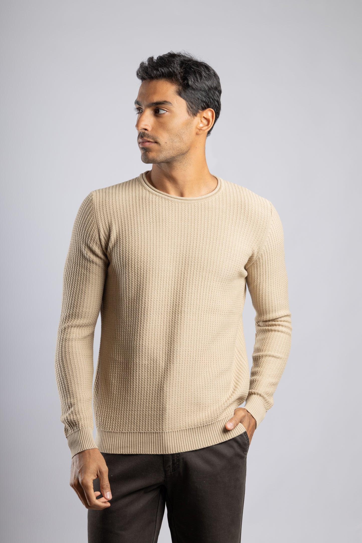 Beige Round Neck Cotton knitted Pullover