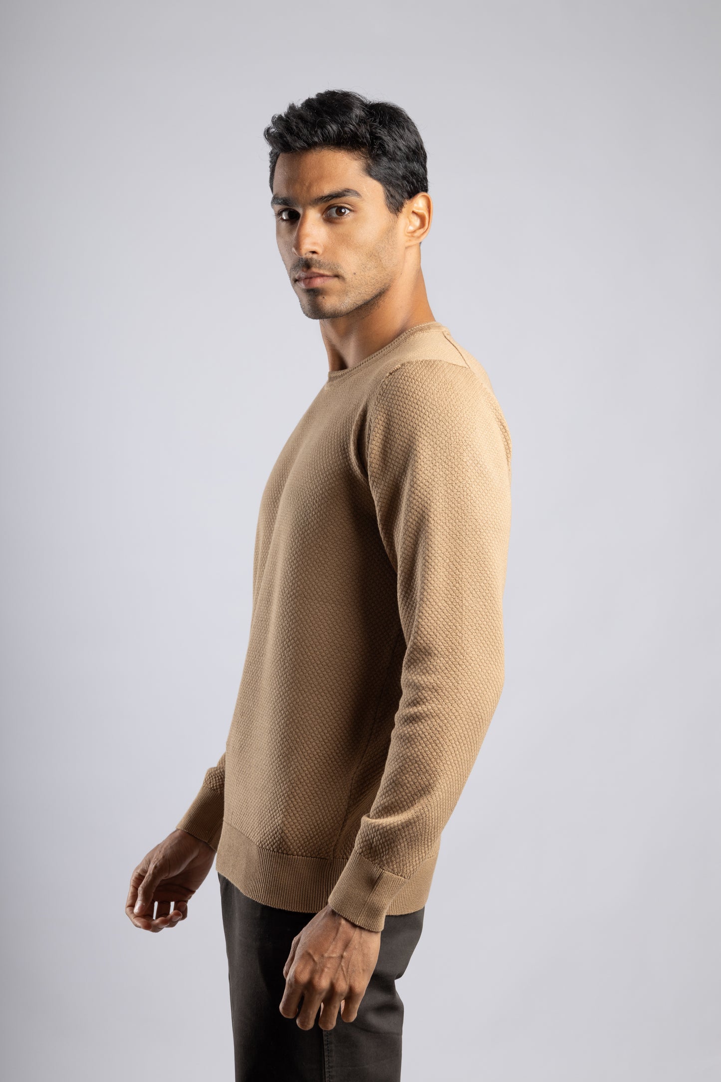 Dark Beige Jacquard Crew Neck Cotton Pullover