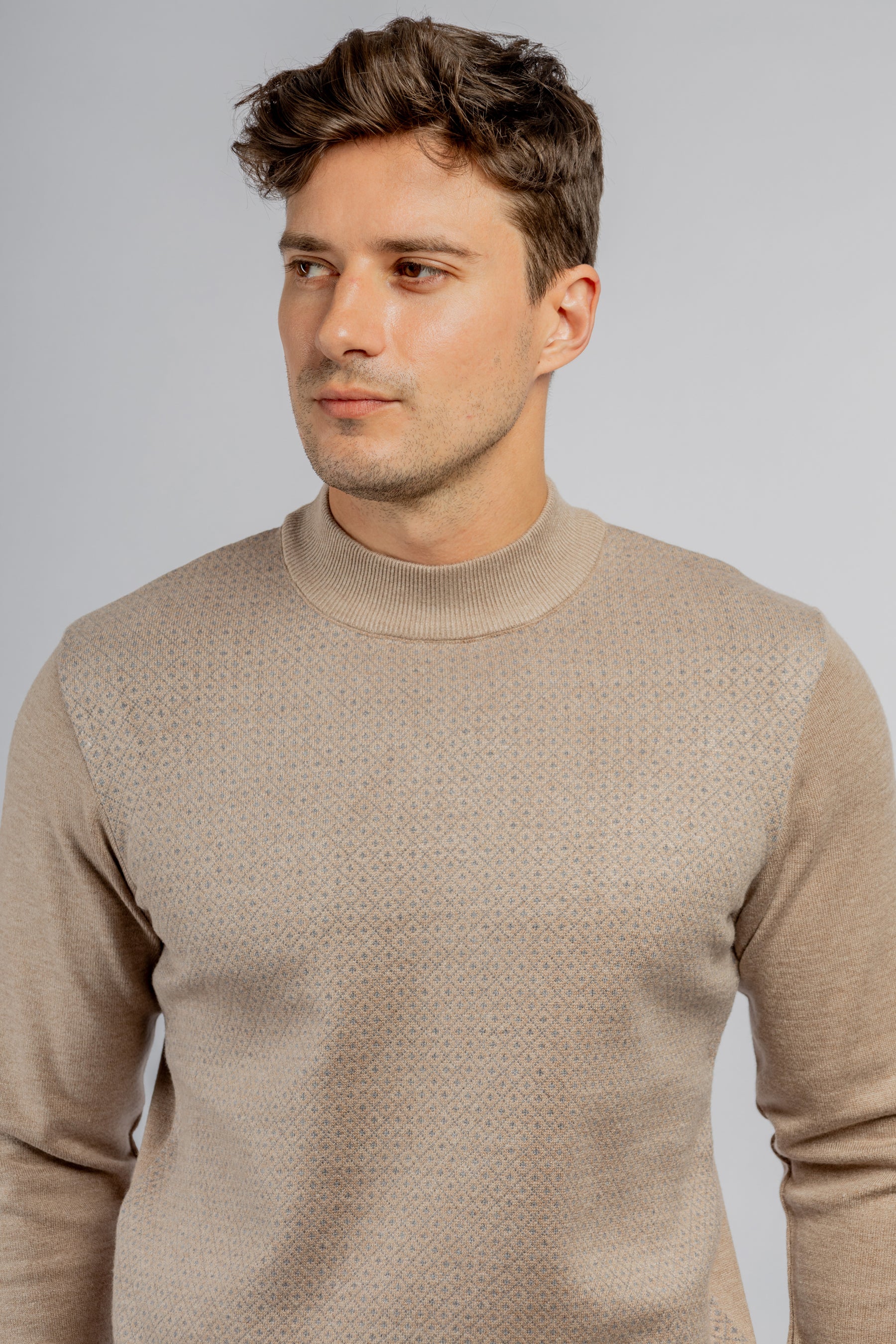 Beige Jacquard Half Collar Pullover