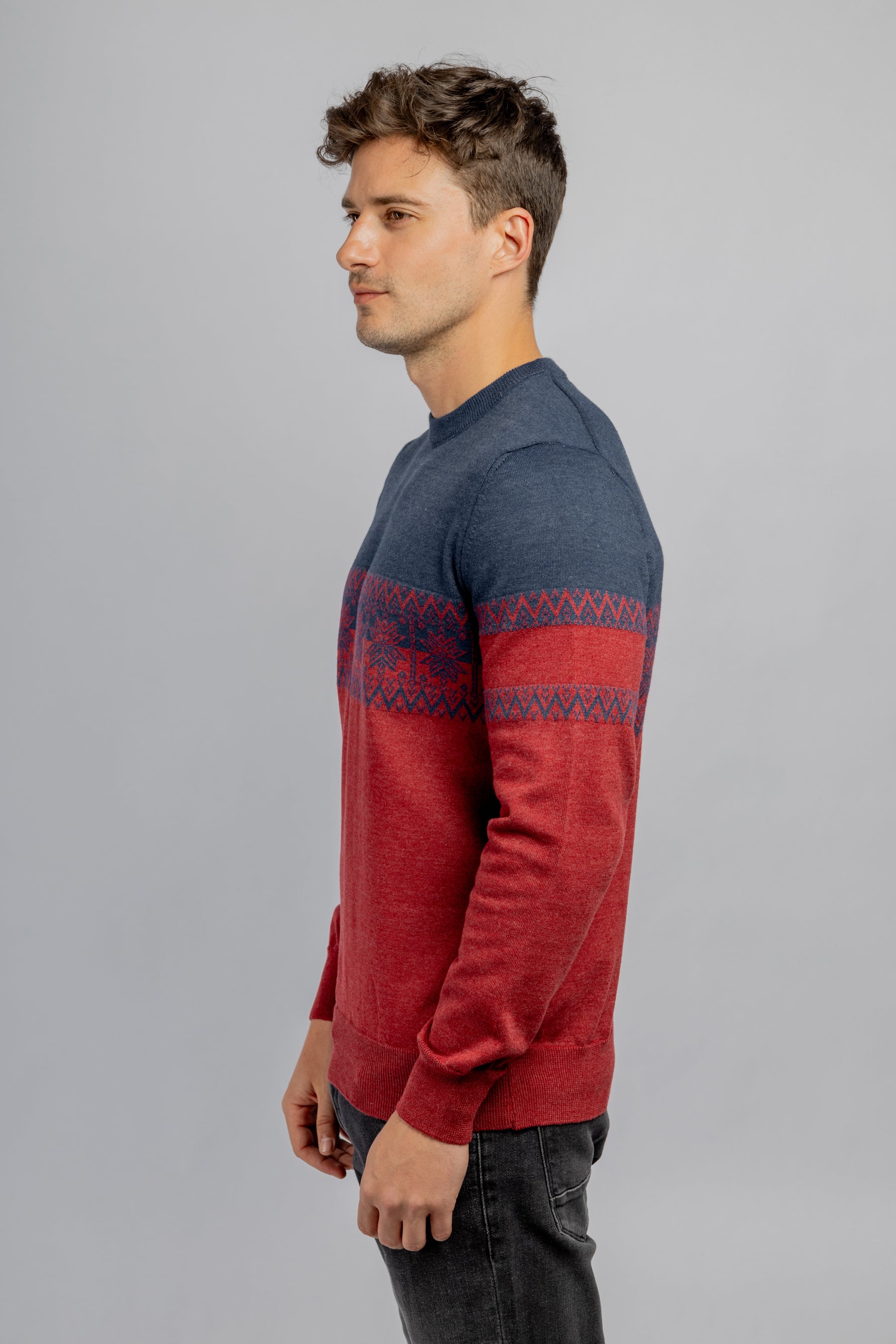 Navy & Burgundy Round Neck cotton pullover