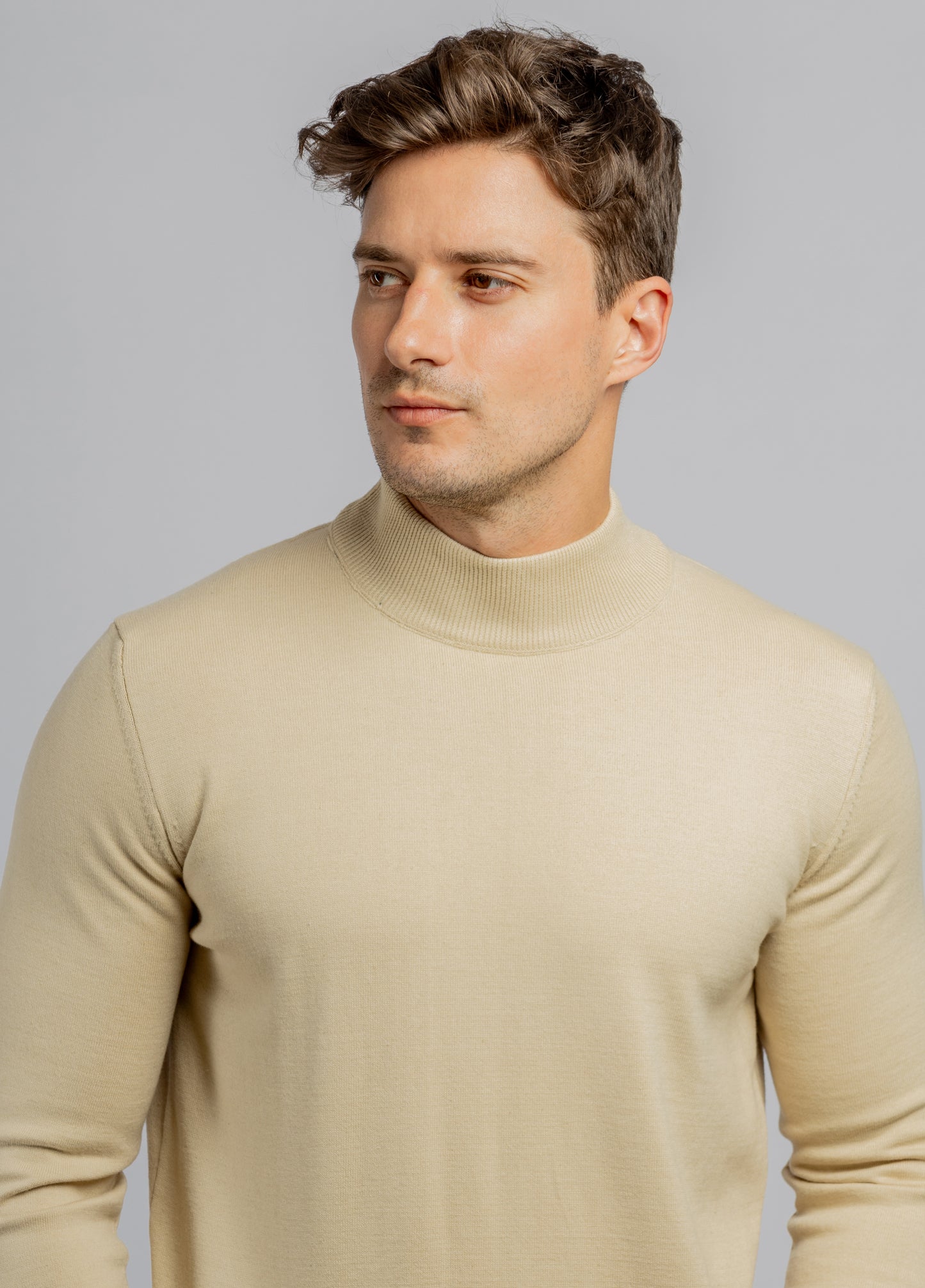 Beige Half Collar Cotton Basic Plain Pullover