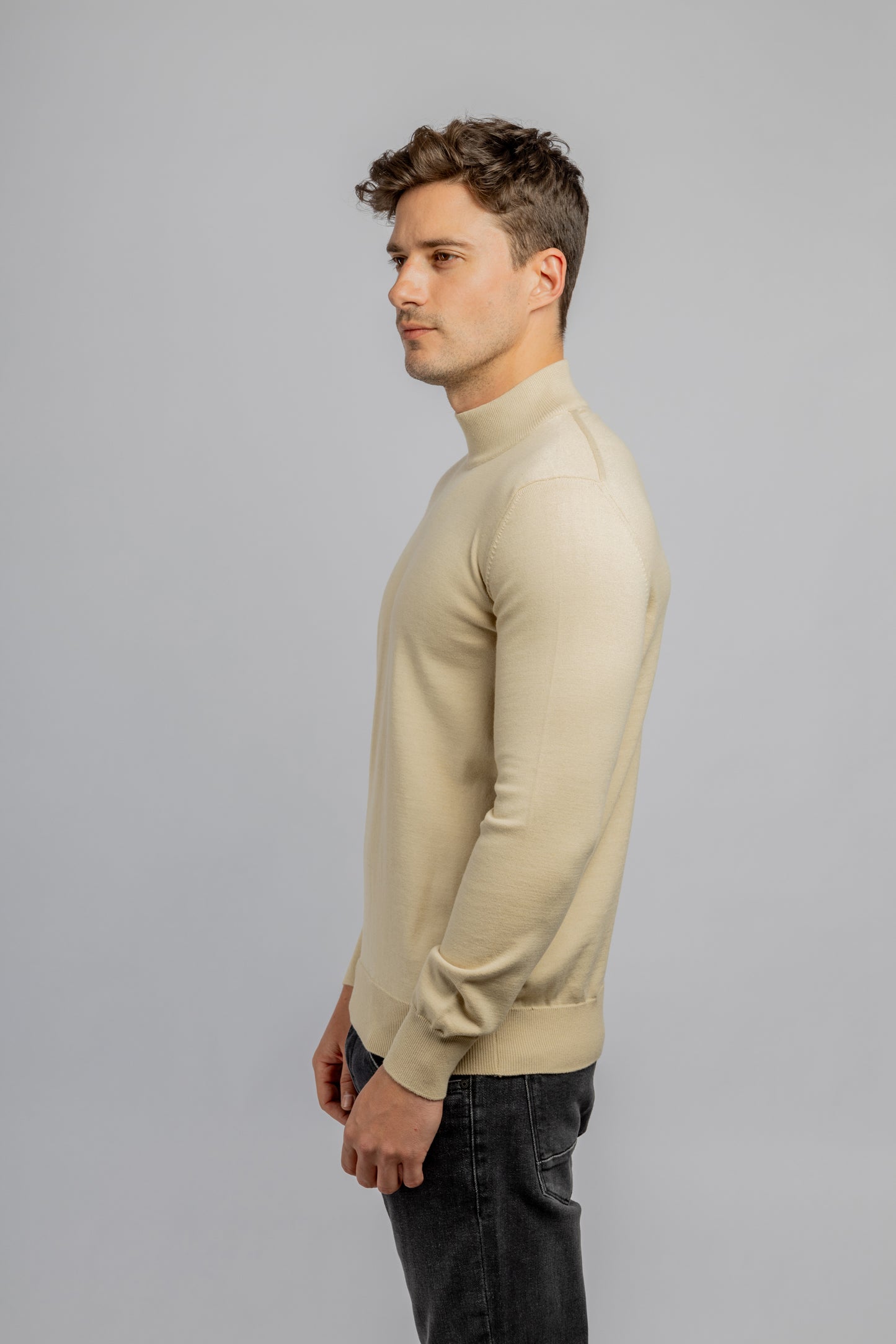 Beige Half Collar Cotton Basic Plain Pullover