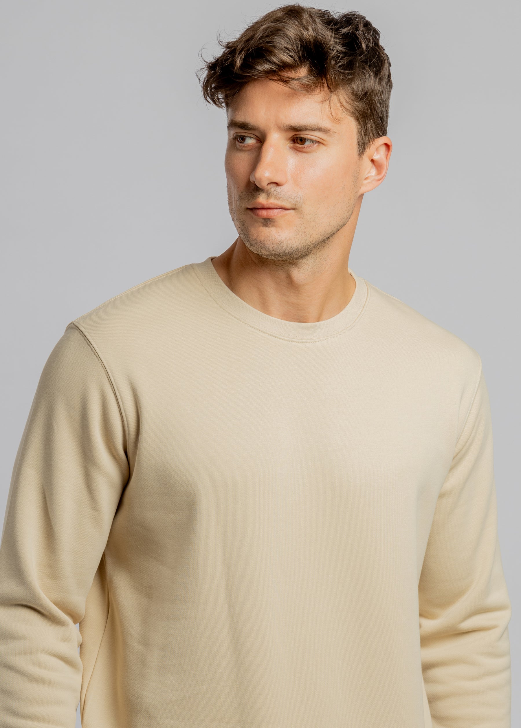 Beige crew neck cotton sweatshirt