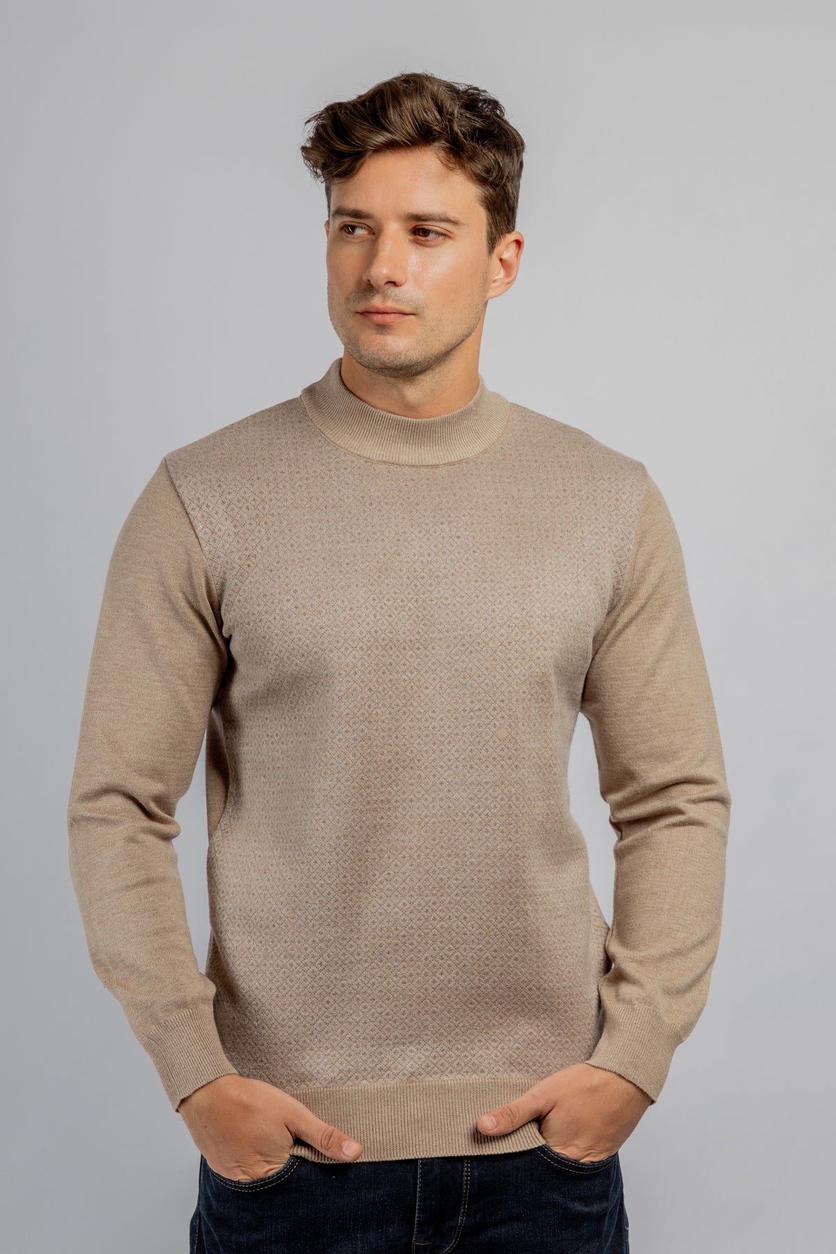 Beige Jacquard Half Collar Pullover