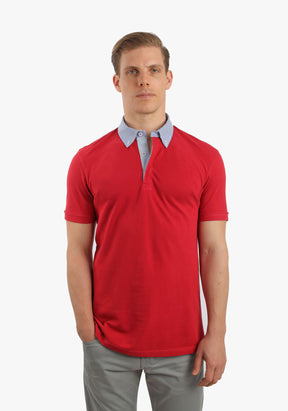 Burgundy Polo With Shirt Collar